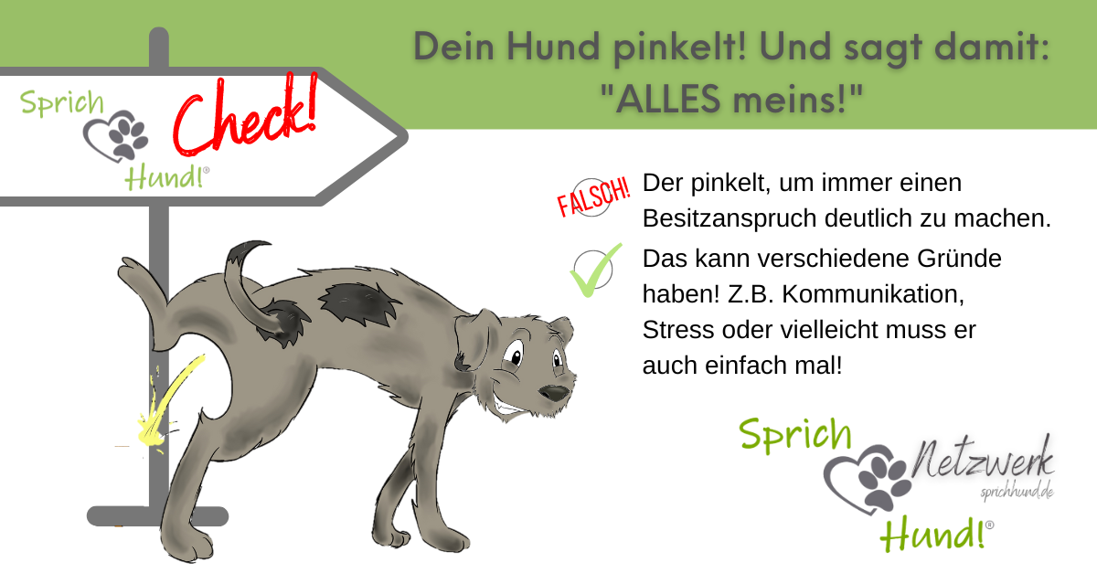 Hund Pinkelt Um Aufmerksamkeit Zu Bekommen Der pinkelt und sagt ALLES meins!